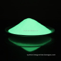 China supply long-time dark luminous pigment